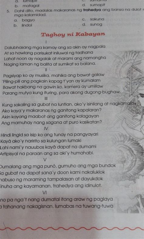 kabayan meaning in hindi